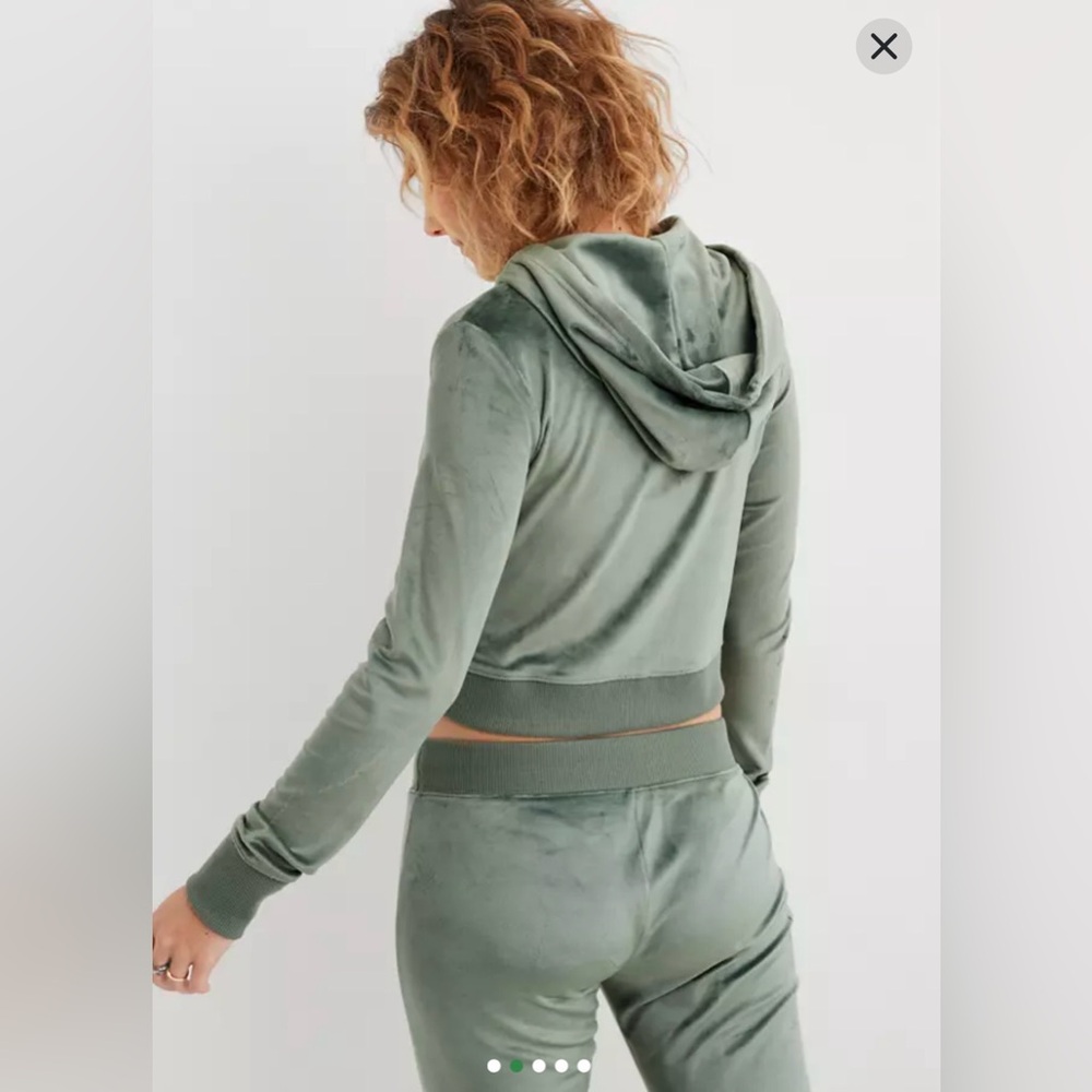 Aerie Dreamy Velour Cropped Hoodie in Royal Palm - Picture 3 of 16